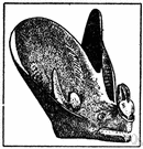 Megaderma - type genus of the Megadermatidae