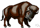 Bubalus - in some classification systems included in genus Bos