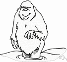 Sasquatch - large hairy humanoid creature said to live in wilderness areas of the United States and Canada
