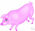 porker - a pig fattened to provide meat