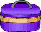 overnight case - a small traveling bag to carry clothing and accessories for staying overnight
