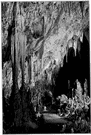 Carlsbad Caverns - a group of caverns in southeastern New Mexico noted for their stalactites and stalagmites