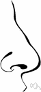 anosmic - relating to an impairment or loss of the sense of smell