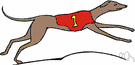 dog racing - a race between dogs