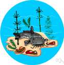 family Ameiuridae - North American catfishes