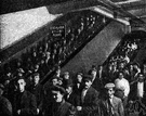 escalator - a stairway whose steps move continuously on a circulating belt