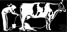milcher - cattle that are reared for their milk