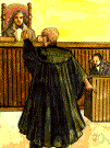 defense lawyer - the lawyer representing the defendant