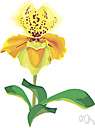 family Alstroemeriaceae - one of many families or subfamilies into which some classification systems subdivide the Liliaceae but not widely accepted