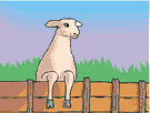 sheepfold - a pen for sheep
