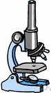 microscope - magnifier of the image of small objects