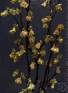 genus Corylopsis - small genus of deciduous shrubs of temperate regions of Asia