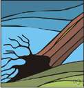 ligneous plant