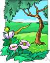 mesophytic - being or growing in or adapted to a moderately moist environment
