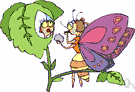 dewdrop - a drop of dew