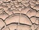 aridness - a deficiency of moisture (especially when resulting from a permanent absence of rainfall)
