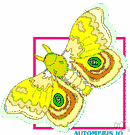 Io moth - large yellow American moth having a large eyelike spot on each hind wing Io moth - large yellow American moth having a large eyelike spot on each hind wing
