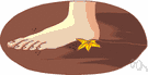 invertebrate foot - any of various organs of locomotion or attachment in invertebrates