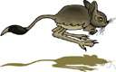 wharf rat