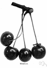 Prunus cerasus austera - any of several cultivated sour cherry trees bearing fruit with dark skin and juice