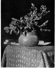 African tea - the leaves of the shrub Catha edulis which are chewed like tobacco or used to make tea