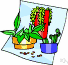 pteridosperm - an extinct seed-producing fernlike plant of the order Cycadofilicales (or group Pteridospermae)