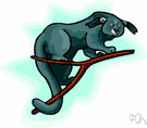 bearcat - arboreal civet of Asia having a long prehensile tail and shaggy black hair