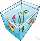 marine museum - a tank or pool or bowl filled with water for keeping live fish and underwater animals