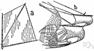 spritsail - a fore-and-aft sail extended by a sprit