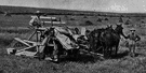 reaper binder - a machine that cuts grain and binds it in sheaves