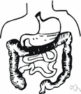 mal de la rosa - a disease caused by deficiency of niacin or tryptophan (or by a defect in the metabolic conversion of tryptophan to niacin)
