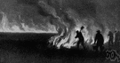 brush fire - an uncontrolled fire that consumes brush and shrubs and bushes