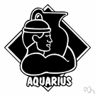 Aquarius - (astrology) a person who is born while the sun is in Aquarius