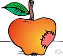 cedar-apple rust - rust fungus causing rust spots on apples and pears etc