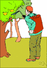 crop-dusting - the dispersion of fungicides or insecticides or fertilizer on growing crops (often from a low-flying aircraft)