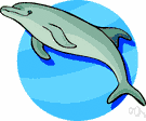sea animal - any of numerous animals inhabiting the sea including e.g. fishes and molluscs and many mammals
