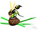 mason bee - any of numerous solitary bees that build nests of hardened mud and sand