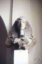 Akhenaten - early ruler of Egypt who rejected the old gods and replaced them with sun worship (died in 1358 BC)