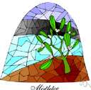 family Viscaceae