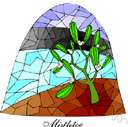 Viscaceae - in some classifications considered a subfamily of Loranthaceae
