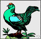 domestic fowl - a domesticated gallinaceous bird thought to be descended from the red jungle fowl