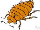 genus Triatoma