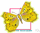 Nymphalis - type genus of the Nymphalidae: mourning cloak butterflies