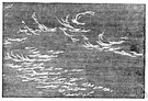 mare's tail - a long narrow flowing cirrus cloud
