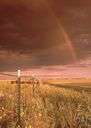 Midland - of or coming from the middle of a region or country