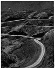 trade route - a route followed by traders (usually in caravans)