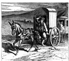mule skinner - a worker who drives mules