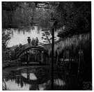Japanese wistaria - having flowers of pink to mauve or violet-blue