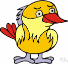 young bird - a bird that is still young