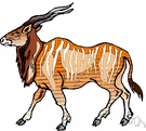 Taurotragus derbianus - large dark striped eland of western equatorial Africa